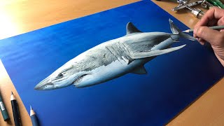 Great White Shark Drawing  Timelapse  Artology [upl. by Wahkuna]