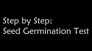 Step by Step Seed Germination testing [upl. by Junia]