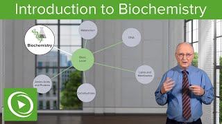 Introduction to Biochemistry – Biochemistry  Lecturio [upl. by Eerrehs691]