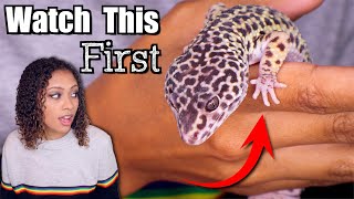 Leopard Gecko Tips For Beginners [upl. by Aicilec]