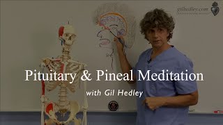 Pituitary amp Pineal Gland An Anatomical Meditation with Gil Hedley [upl. by Anabahs921]