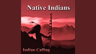 Return to Innocence Native American Music [upl. by Cathey]