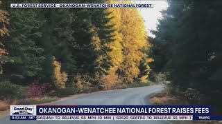 OkanoganWenatchee National Forest raises fees  FOX 13 Seattle [upl. by Ybor]