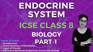 Endocrine System  ICSE CLASS 8 Biology  Part  1 [upl. by Ekyt182]