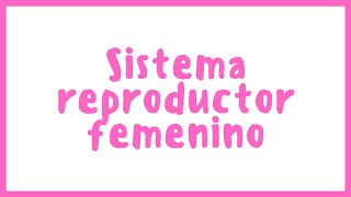 ANATOMÍA  Sistema reproductor femenino  Blasto Med [upl. by Elletnohs]