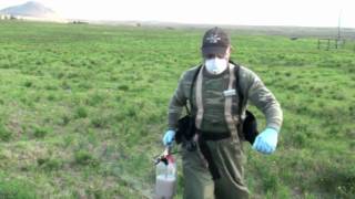 New Herbicides in Fireweed Management [upl. by Spillihp]