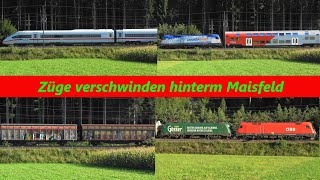 Rankweil Züge verschwinden hinter🌽 Maisfeld [upl. by Nrojb98]