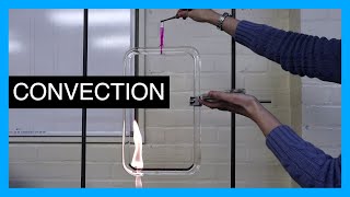 Convection Current  GCSE Physics Practical [upl. by Oiuqise]