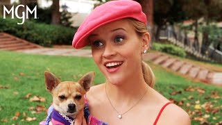 Legally Blonde 2001 Elle amp Emmett Being Couple Goals  MGM Studios [upl. by Schlessel]