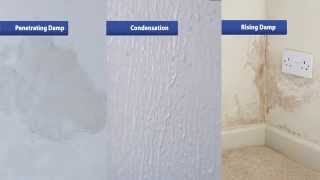 How to Find and Fix Your Damp Problems [upl. by Dnumde]