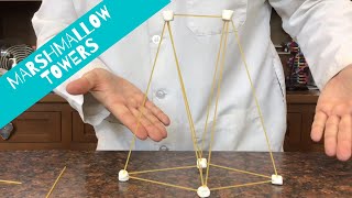 Marshmallow Tower Challenge [upl. by Herald]