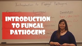 Introduction to Fungal Pathogens [upl. by Okika739]