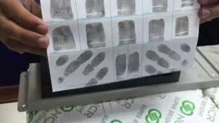 How to Roll Ink Fingerprints [upl. by Horwitz957]