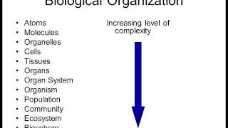 Biology 1010 Lecture 1 Intro to Biology [upl. by Archle]