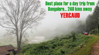 Day trip from Bangalore to Yercaud  Beautiful Drive and Weather to match [upl. by Joacimah]