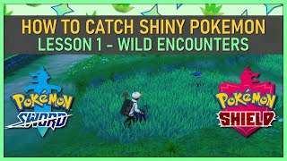 How to Catch Shiny Pokemon by Wild Encounters in Pokemon SwordShield  Shiny Hunting 101 [upl. by Bernhard]