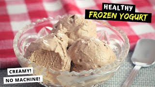 Homemade Frozen Yogurt HEALTHY CREAMY NO MACHINE REQUIRED [upl. by Shewmaker]