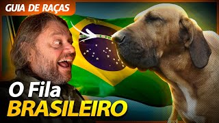 FILA BRASILEIRO O MELHOR CÃƒO DE GUARDA  RICHARD RASMUSSEN [upl. by Netsruk]