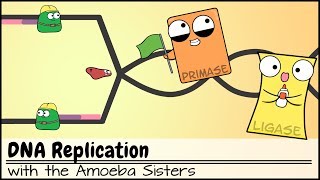 DNA Replication Updated [upl. by Fleeman]