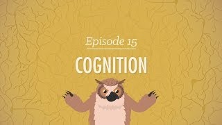 Cognition  How Your Mind Can Amaze and Betray You Crash Course Psychology 15 [upl. by Rillings]