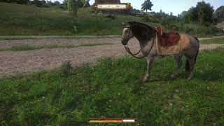 Where does Belladonna grow I will Show you in Kingdom Come Deliverance Map to find Belladonna [upl. by Notnel]