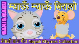 Meow Meow Biralo  Myau Myau Biralo  Nepali Rhymes Collection  लोक प्रिय नेपाली बाल गीत [upl. by Eimar420]