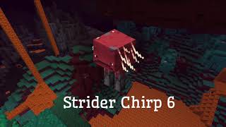 All strider sounds  Minecraft 116 [upl. by Pammy]