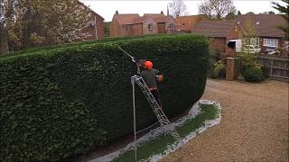 How to trim a conifer hedge [upl. by Eentirb782]