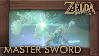 How to Recharge Master Sword IMMEDIATELY  Zelda Breath of the Wild [upl. by Oad705]