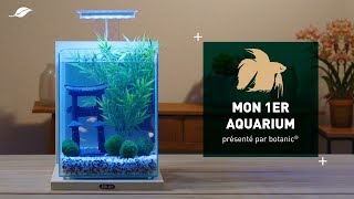 Le tuto minute  mon premier aquarium [upl. by Bork]