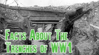 Trench Warfare Facts  The Trenches of WW1 [upl. by Durtschi328]