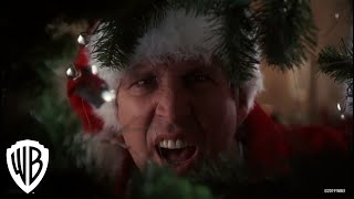 National Lampoons Christmas Vacation  Squirrel Scene  Warner Bros Entertainment [upl. by Ioab]