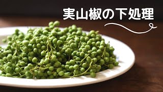 【実山椒の下処理と保存方法】やり方山椒の実下ごしらえあく抜き [upl. by Eneryc909]