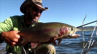 Panguitch Lake 2019 July Fishing Report part 1 [upl. by Nidak]