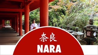 Discover Nara City  Japan Experience [upl. by Rozele241]