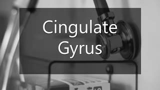 Learn how to pronounce Cingulate Gyrus [upl. by Eahs]