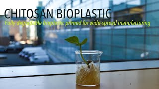 Chitosan Bioplastic [upl. by Kursh]