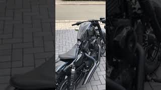 Harley Davidson Custom build Sportster Forty Eight „Black Beast“ [upl. by Ajet]