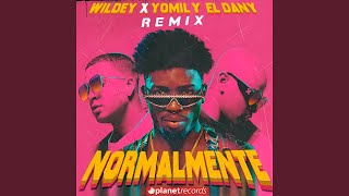 Normalmente Remix [upl. by Acsecnarf]