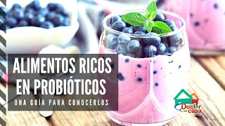 Alimentos que contienen probióticos [upl. by Hime591]