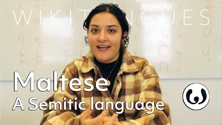 The Maltese language casually spoken  Elena speaking Maltese  Wikitongues [upl. by Marigold]