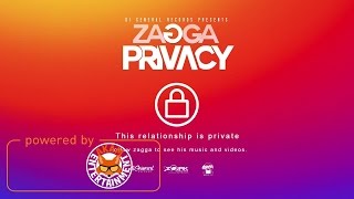 Zagga  Privacy  May 2017 [upl. by Nonahs]