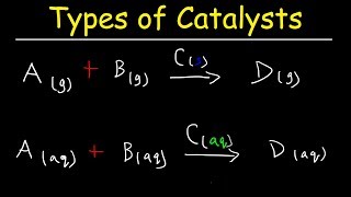 Homogeneous vs Heterogeneous Catalysts  Basic Introduction [upl. by Cilla586]