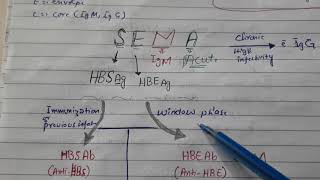 Hepatitis B serological markers with super easy mnemonic [upl. by Bridwell]