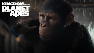 Kingdom of the Planet of the Apes  Stream Only On Hulu August 2 [upl. by Mosenthal699]