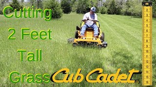 Cub Cadet Ultima ZT1 50 Cutting 2 Foot Tall Grass [upl. by Tibbs]