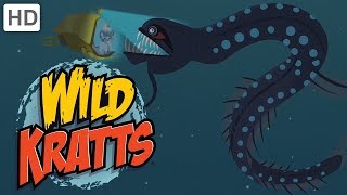 Wild Kratts  Dive into the Atlantic Ocean [upl. by Taro]