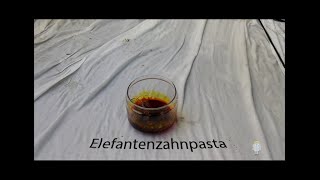 Elefantenzahnpasta Versuch und Erklärung [upl. by Rozalie]