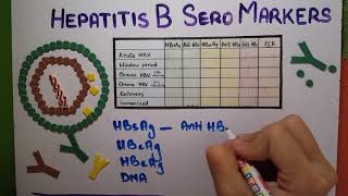 hepatitis B Serology explained [upl. by Caneghem874]