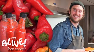 Brad Makes Fermented Hot Sauce  Its Alive  Bon Appétit [upl. by Alien]